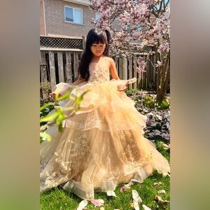 Beautiful fancy gown